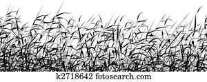 Reed foreground Reed foreground