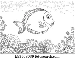 Surgeon fish on a coral reef Surgeon fish on a coral reef