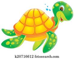 Turtle Turtle
