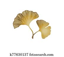 Black, yellow-gold vector seamless elegant wallpaper with leaves. Glitter abstract illustration with leaves of ginkgo biloba. Design for textile, fabric, wallpaper. logos Black, yellow-gold vector seamless elegant wallpaper with leaves. Glitter abstract illustration with leaves of ginkgo biloba. Design for textile, fabric, wallpaper. logos