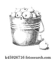 Bucket of apples Bucket of apples