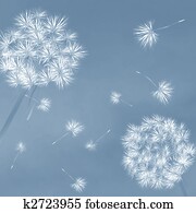 Dandelions in the wind Dandelions in the wind