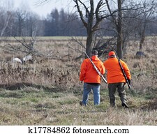 Deer Hunting Deer Hunting