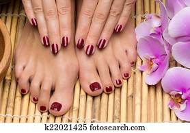Pedicure and manicure in the salon Pedicure and manicure in the salon