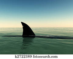 Shark Shark
