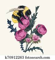 Beautiful botanical fashion illustration with vector bumblebee and thistle. Realistic vintage botanical style, insect sitting on wild purple burdock flower, macro object Beautiful botanical fashion illustration with vector bumblebee and thistle. Realistic vintage botanical style, insect sitting on wild purple burdock flower, macro object