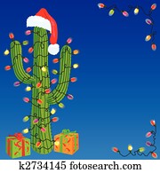 Christmas Cactus Christmas Cactus