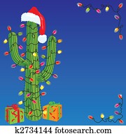 Christmas Cactus Christmas Cactus