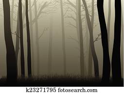 Dark Woods Dark Woods