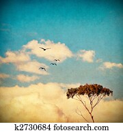 Dreamy Sky and Tree Dreamy Sky and Tree