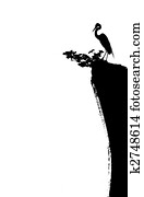 chinese painting of crane and cliff chinese painting of crane and cliff