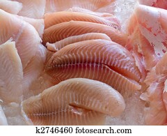Display of fresh seafood fish fillets
