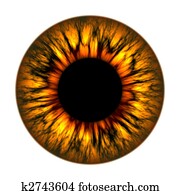 fire eye fire eye