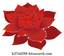 lotus lotus