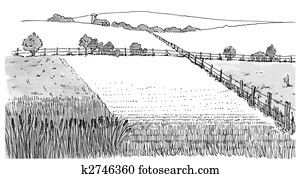 Wheat Field