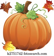 Autumn pumpkin Autumn pumpkin