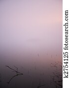 Foggy lake