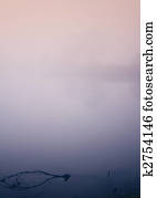 Foggy lake