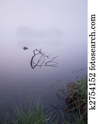 Foggy lake