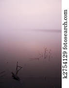 Foggy lake