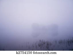Foggy lake
