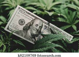 Money and cannabis. Pot finance. Revenues in the marijuana industry and the medical. Money and cannabis. Pot finance. Revenues in the marijuana industry and the medical.