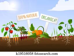 גן של ירק, פוסטר