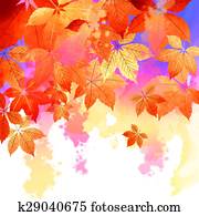 Autumn Vector Watercolor Fall Leaves Autumn Vector Watercolor Fall Leaves