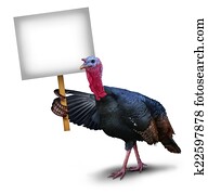 Turkey Bird Sign Turkey Bird Sign