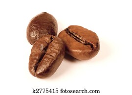 coffee beans macro coffee beans macro