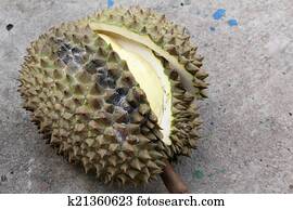 Durian.