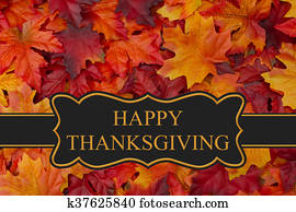 feliz, ação graças, saudação