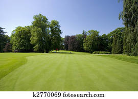 golf course golf course