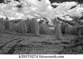 Nature Nature