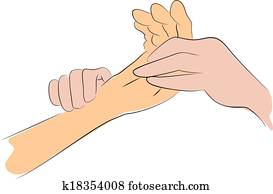 Radial Pulse in Adult Clipart | plsrada | Fotosearch