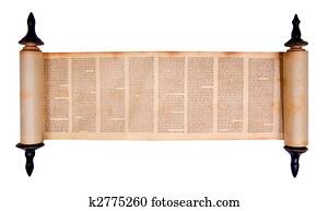 scroll scroll