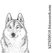 wolf wolf