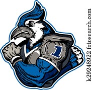 blue jay football player blue jay football player