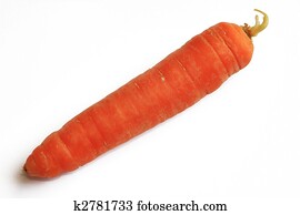 Carrot Carrot