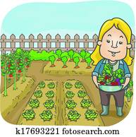 gemüsegarten gemüsegarten