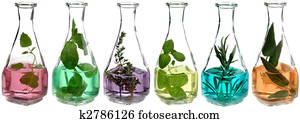 herbs herbs
