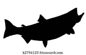 King Salmon Silhouette King Salmon Silhouette