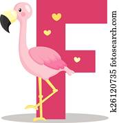 Alphabet F for Flamingo Alphabet F for Flamingo