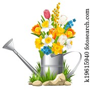 Flowers in watering can Flowers in watering can