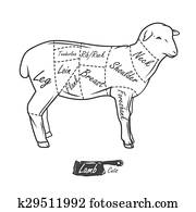 American cuts of lamb. Vintage typographic hand-drawn butcher cuts scheme American cuts of lamb. Vintage typographic hand-drawn butcher cuts scheme