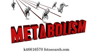 Better Metabolism Better Metabolism
