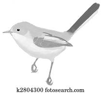 Blue-gray Gnatcatcher