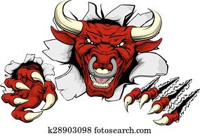 Bull claws smash out Bull claws smash out