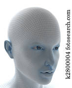 Face with soft wireframe Face with soft wireframe