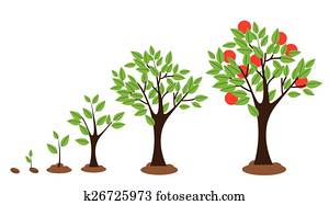 Tree Growth Tree Growth